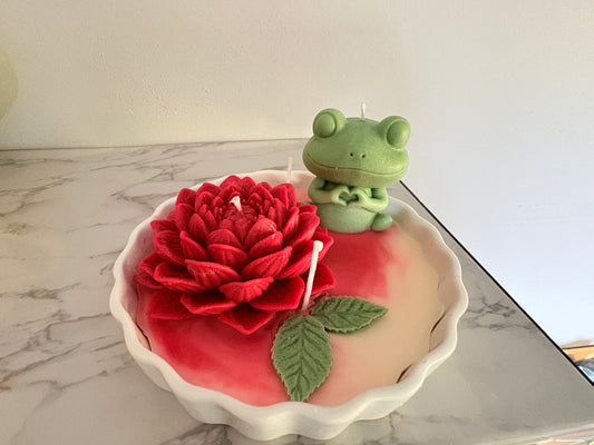 Mr. Frog with red Water lily